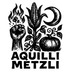aquillimetzli.com